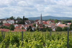 Gemeinde_0027-scaled