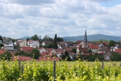Gemeinde_0028-scaled