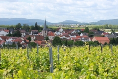 Gemeinde_0030-scaled