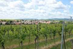 Gemeinde_0033-scaled