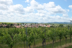 Gemeinde_0034-scaled