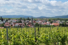 Gemeinde_0035-scaled