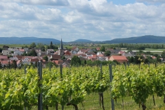 Gemeinde_0037-scaled